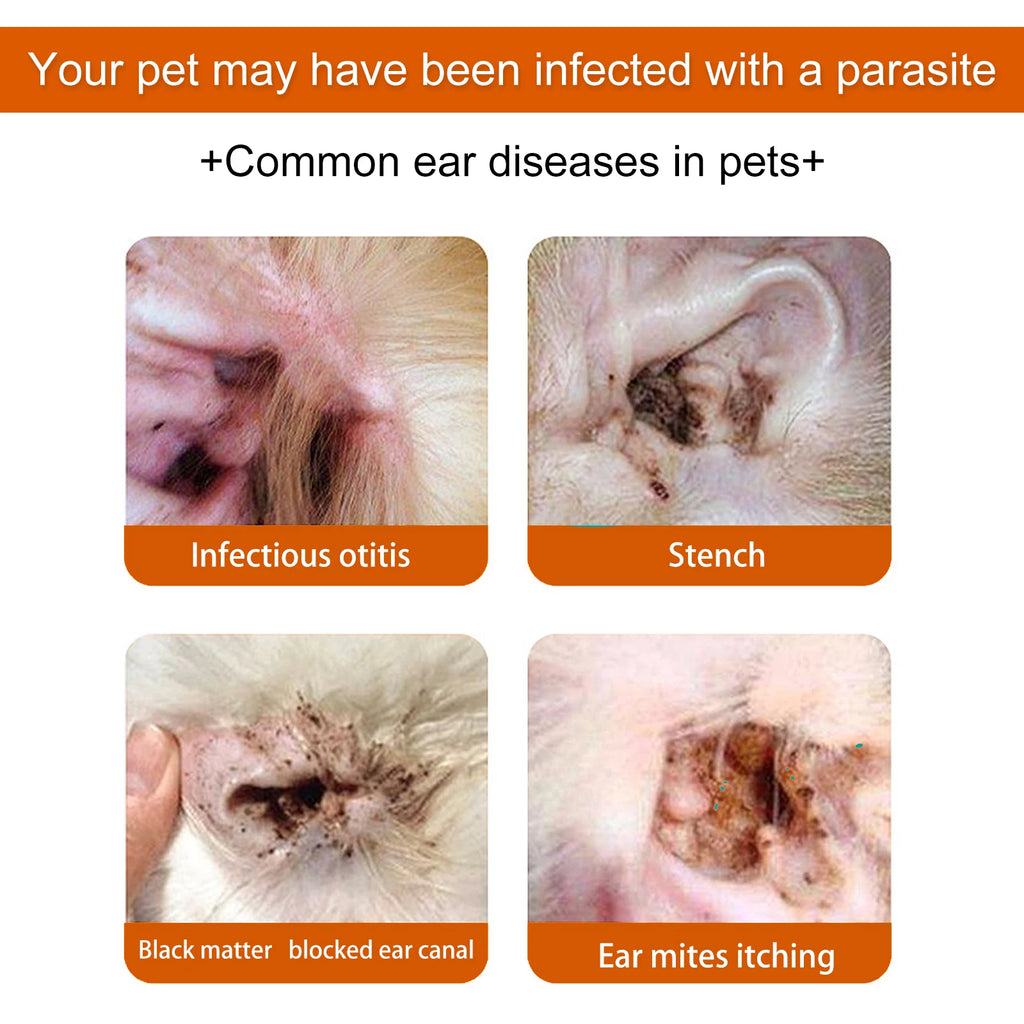 Lingettes pour Oreilles de Chien & Chat – 60 Pièces, Nettoyage Doux et Élimination des Odeurs