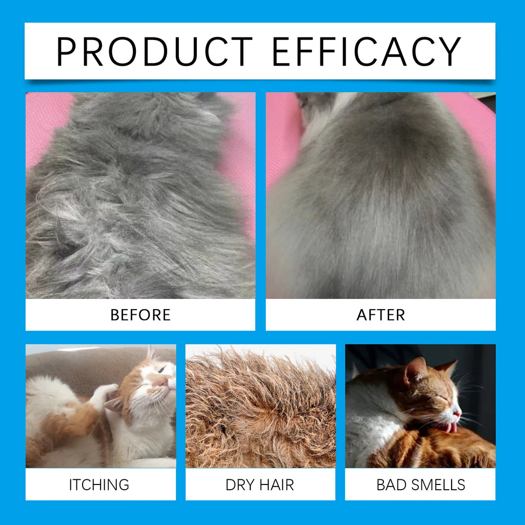 Shampoing Sec en Mousse pour Chiens et Chats – 60ml, Nettoyage sans Rinçage