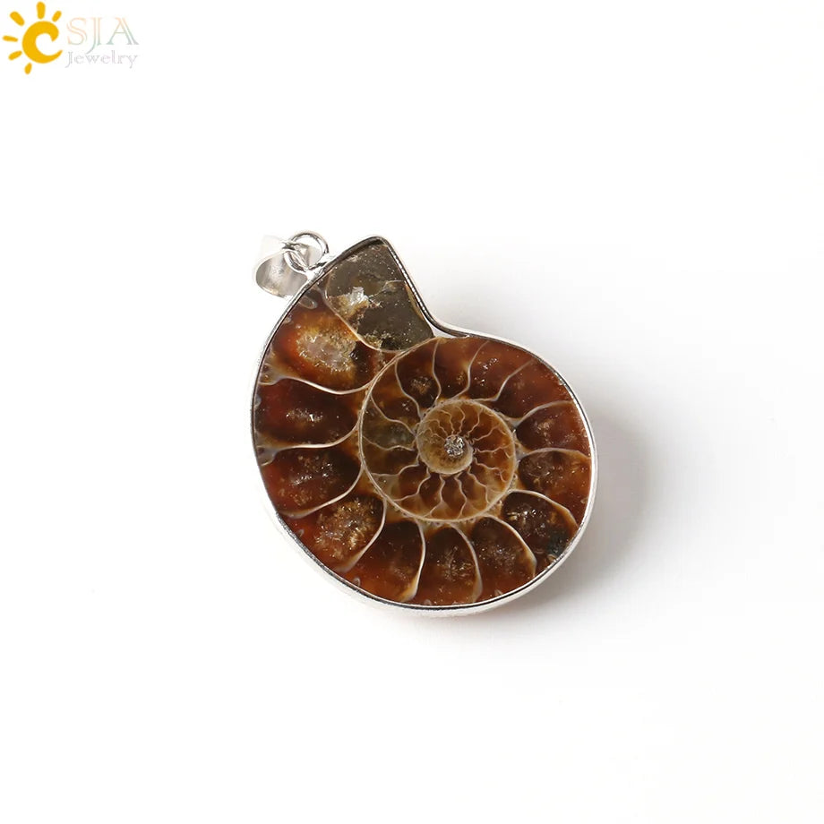 Pendentif Ammonite Fossile Naturel - Coquillage Mer pour Femme