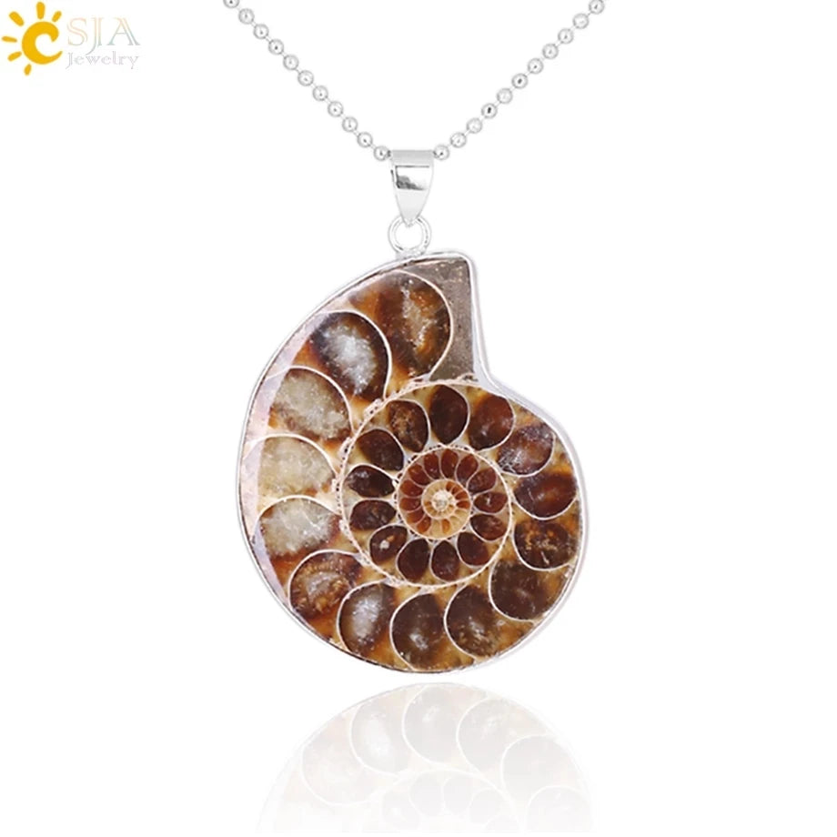 Pendentif Ammonite Fossile Naturel - Coquillage Mer pour Femme