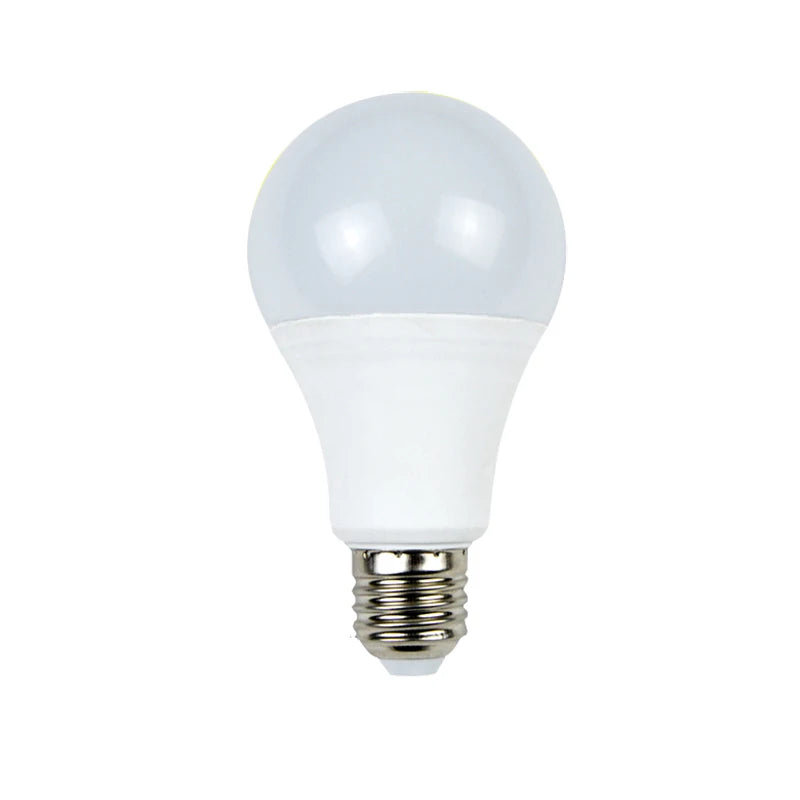 Ampoule LED E27 12V DC 3W à 18W - Basse Tension pour Camping/Solaire