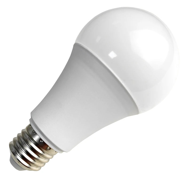 Ampoule LED E27 12V DC 3W à 18W - Basse Tension pour Camping/Solaire