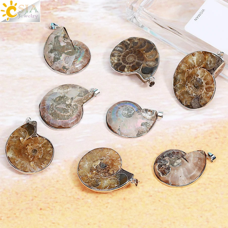 Pendentif Ammonite Fossile Naturel - Coquillage Mer pour Femme