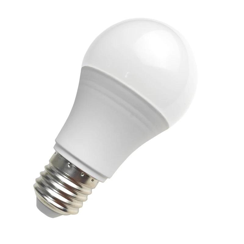 Ampoule LED E27 12V DC 3W à 18W - Basse Tension pour Camping/Solaire