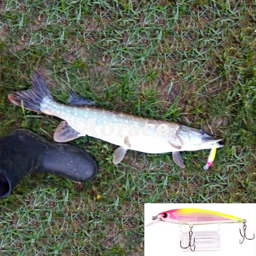 Leurre de Pêche Minnow Laser 11 cm 13 g - Crankbait avec Hameçons