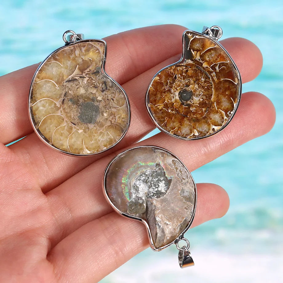 Pendentif Ammonite Fossile Naturel - Coquillage Mer pour Femme