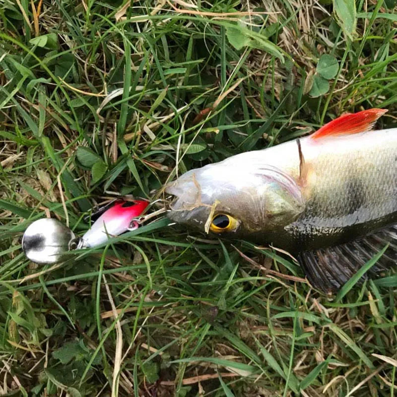 Leurre de Pêche Mini Vib Métal 6g-25g - Cuillère avec Cuiller